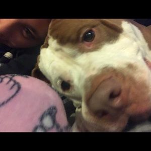 Meet your Posher, Ruby